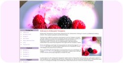 Dessert with Raspberries Web Template