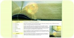 Literature Web Layout