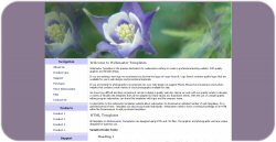 Columbine Flowers Web Template