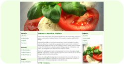 Appetize Web Template