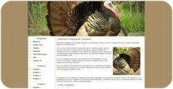 Wild Turkey Web Template