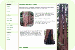 Coastal Redwoods Template