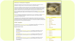 Frog X-Ray Template