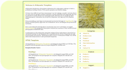 Yellow Dahlia Template