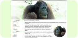 Orangutan Template