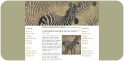 Striped Zebra Template