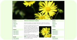 Yellow Leopards Bane Flower Web Template